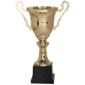 Copa CY 101